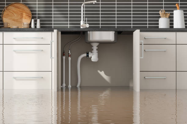 Best Carpet water damage restoration  in Pleasant Hills, OH