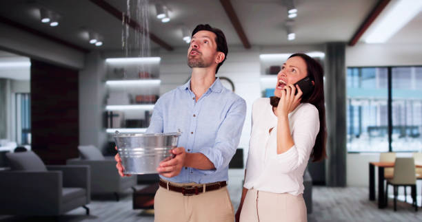 Best Sewage cleanup and water damage restoration  in Pleasant Hills, OH